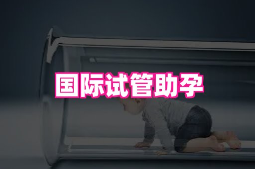821孕网 1