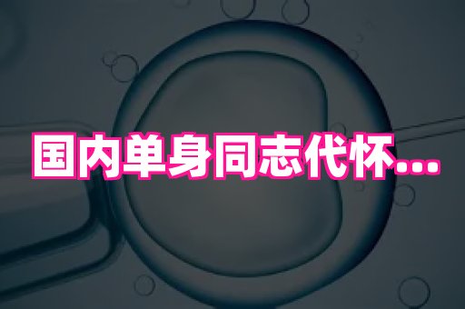 821孕网 4